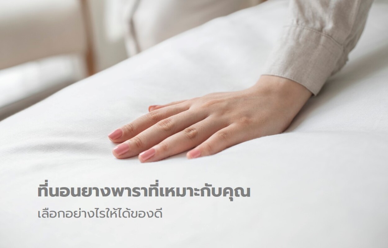 วิธีเลือกที่นอนยางพาราที่เหมาะกับคุณ ข้อสังเกตและทดสอบก่อนซื้อ